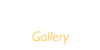 시공갤러리